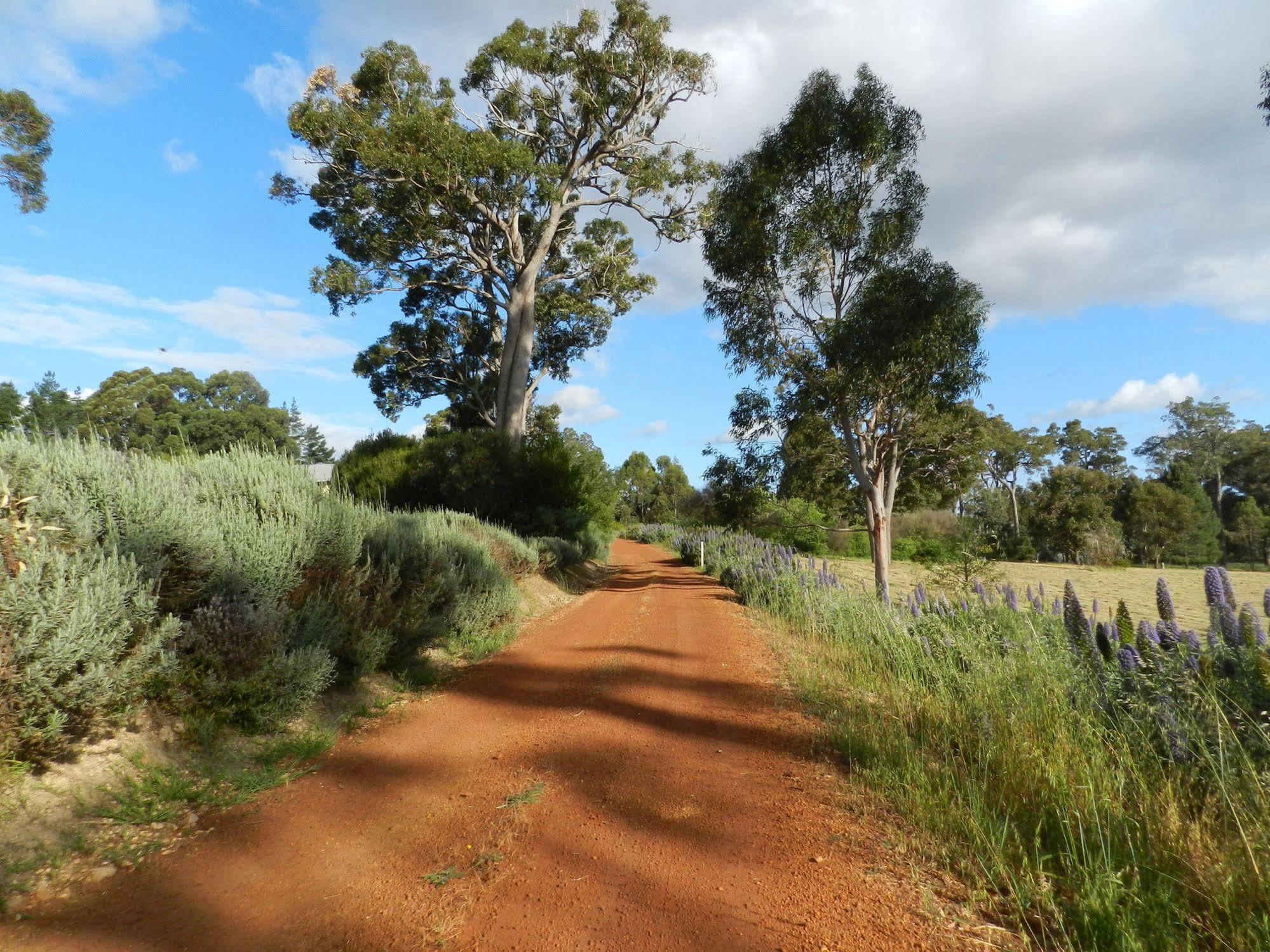 샴발라 게스트하우스 Kangaroo Gully 외부 사진